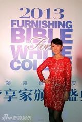 组图：车永莉阚清子王智获梦享家奖