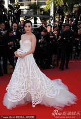 幻灯图集：《美错》戛纳首映 蒂姆-伯顿范冰冰捧场