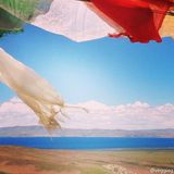 组图：王菲与小伙伴游西藏 晒美景羡煞网友