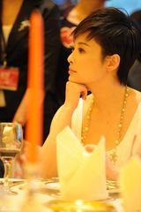 幻灯图：袁莉获年度慈善明星 清新淡雅显女人味道  