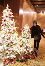 组图：众星欢乐庆圣诞 Angela可爱林志玲性感