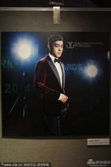 组图：金像奖红毯就绪 影帝影后提名人写真抢镜