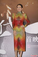 组图：章子怡七彩蛇女装抢镜 梁朝伟力撑王家卫