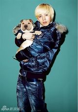 策划：韩星宠物集结号 爱豆们的宠物情人