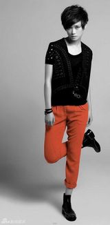 组图：李宇春2012 Why Me演唱会海报曝光