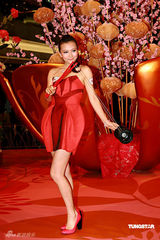 幻灯图集：熊黛林华美礼服亮相 表演优美花灯舞 