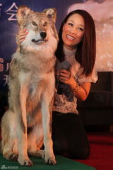 高清图：那英6月个唱发布会 与残疾歌迷合唱落泪