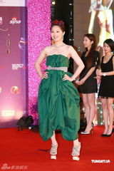 幻灯：香港金像奖颁奖红毯 杨千嬅绿裙典雅