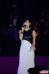 组图：梅艳芳逝世十周年 圈中好友登台悼念