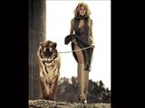 高清组图：西耶娜-米勒荒原与虎同行 性感迷人