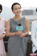 组图：刘嘉玲格子长裙亮相 妆容精致气质优雅