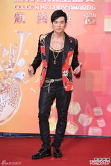 群星亮相金曲奖红毯 蔡依林美腿梁静茹性感(图)