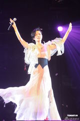 组图：王菲香港演唱会开场 刘嘉玲李亚鹏现身支持