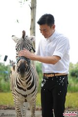 组图：刘德华与斑马合作 场面温馨显熟男风采