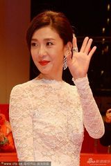 组图：《白日焰火》首映 倪景阳透视装秀美背