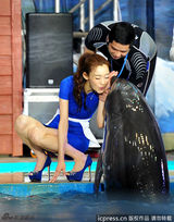组图：范玮琪性感亮相西安 与海豚亲密互动