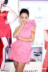 组图：关颖桃红礼服惹眼 主演影片入围金马奖