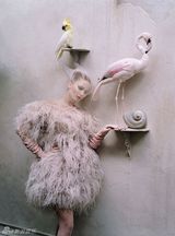 组图：詹妮弗-劳伦斯登杂志封面 鸟儿造型另类