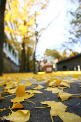 组图：玩转韩国首尔之传统的首尔德寿宫