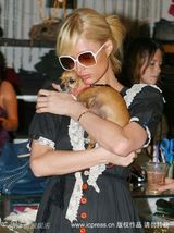 幻灯图集：帕丽斯-希尔顿与宠物狗形影不离