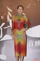 组图：章子怡七彩蛇女装抢镜 梁朝伟力撑王家卫