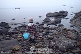 组图：林志颖为Kimi烹海鲜大餐 暂抛形象危机
