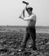 组图：《焦裕禄》热播 剧照完整展示焦裕禄一生