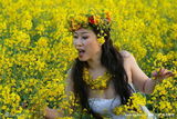 幻灯图集：芙蓉姐姐油菜花地里演绎花一样的女人