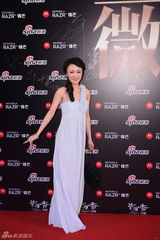 高清图：2011网络盛典红地毯明星名流嘉宾云集