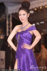 组图：主持人利菁走红毯 高叉紫裙云霄发髻抢镜