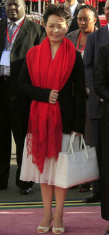 组图：彭丽媛出访频换装 时尚造型华美典雅