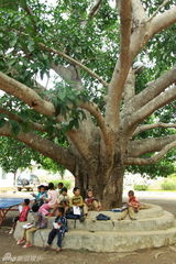 冯绍峰倪妮提前过六一 与孩子看露天电影(图)