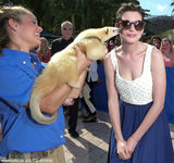 组图：海瑟薇白衣蓝裙与动物亲密接触童心未泯