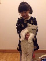 组图：森碟举肥猫抱小老虎 女汉子爱护小动物