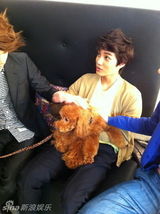 策划：韩星宠物集结号 爱豆们的宠物情人