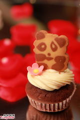 组图：汤盈盈吃熊猫饼干 与钱嘉乐秀恩爱