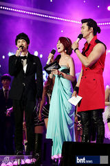 组图：少女时代等众星亮相2012梦想演唱会红毯