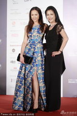 组图：亚洲电影奖红毯 章子怡刘嘉玲艳压嫩模