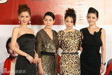 幻灯图：《全城热恋》首映红毯 四女星同场竞艳