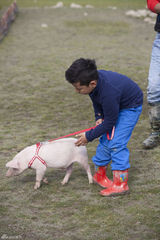 组图：《爸爸》老爸变装逗萌娃 小猪赛跑趣味多