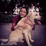 组图：众星欢乐拜大年 森碟可爱林依晨异国祝福