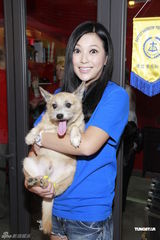 组图：群星呼吁领养宠物 郑融望多关心关淑怡