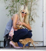 组图：帕丽斯-希尔顿怀揣两爱犬心花怒放玩得欢 