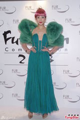 组图：众星出席香港皮草设计比赛争奇斗艳