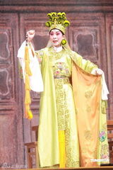 高清图：陈宝珠母亲看女儿演出晕倒 经抢救无效去世