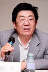 《叶问2》遭盗版日票房损500万 第三集主打李小龙