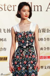 组图：金鸡百花闭幕红毯 俊男美女群星闪耀