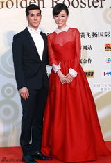 组图：金鸡百花闭幕红毯 俊男美女群星闪耀