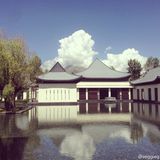 组图：王菲与小伙伴游西藏 晒美景羡煞网友