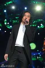 幻灯图：新年夜星光灿灿耀上海 倒计时焰火迎世博